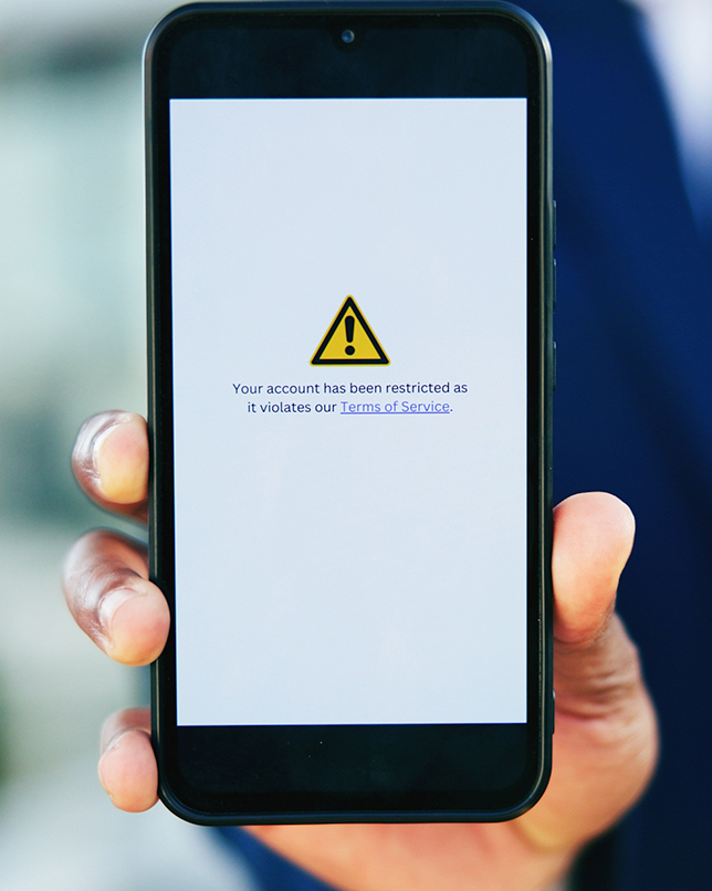 Web Threat Detection