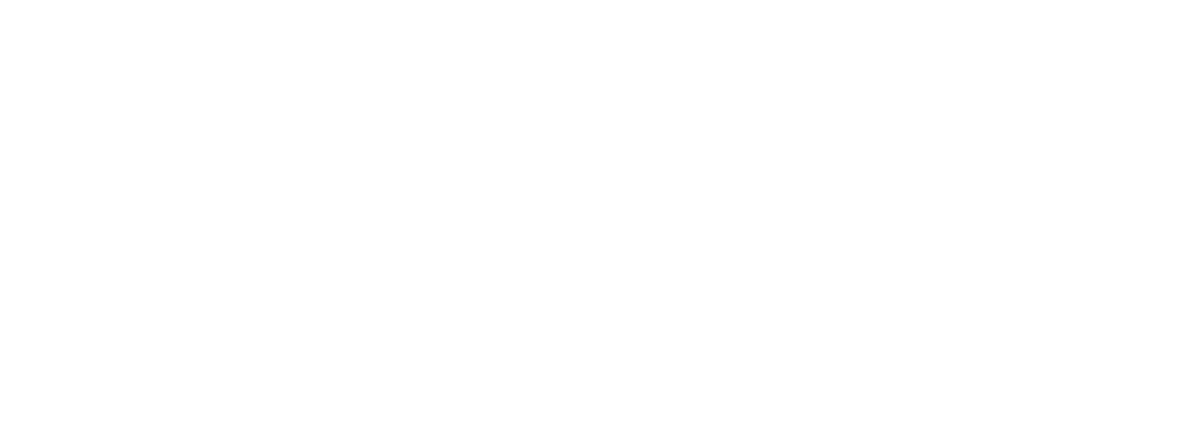Nostro Logo Homepage